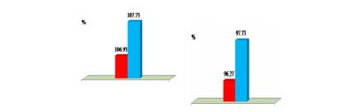 Arithmetic mean values – Forced vital capacity andForced expiratory volumein 1 second - Initial test and Final test